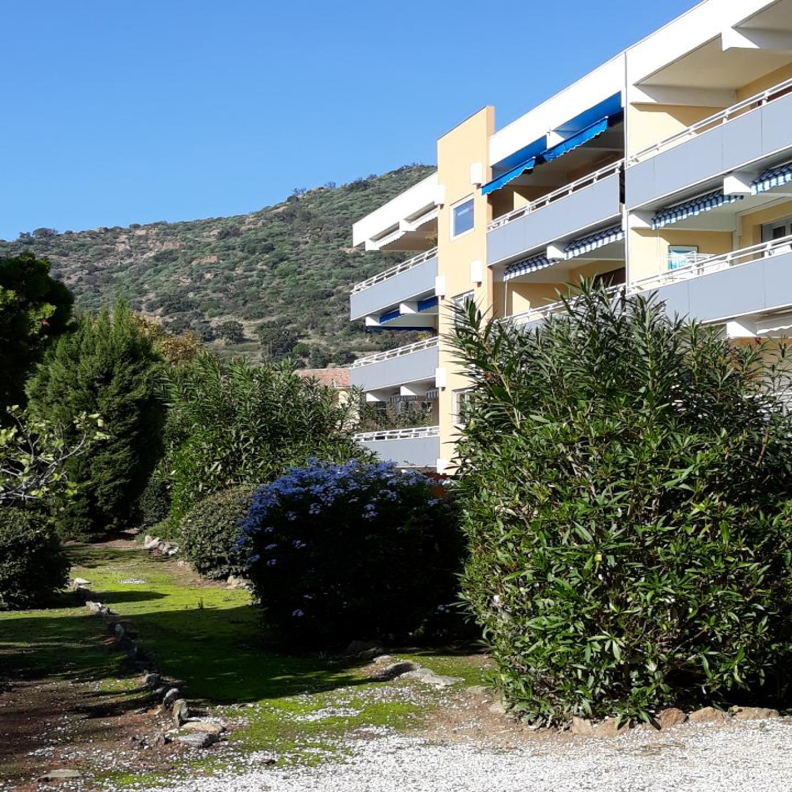 Appartement A Vendre Le Lavandou Saint Clair